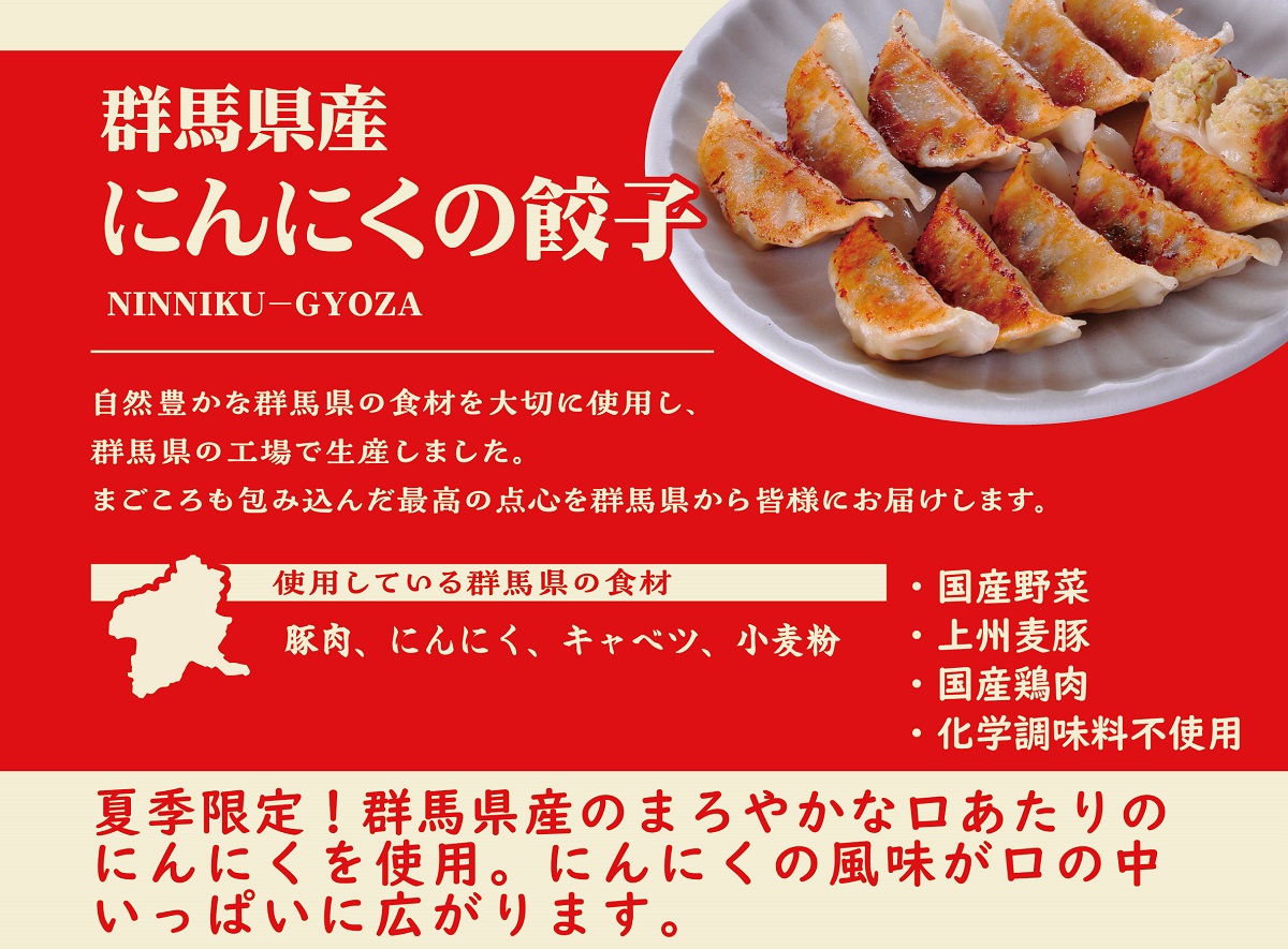 夏季限定 餃子セット