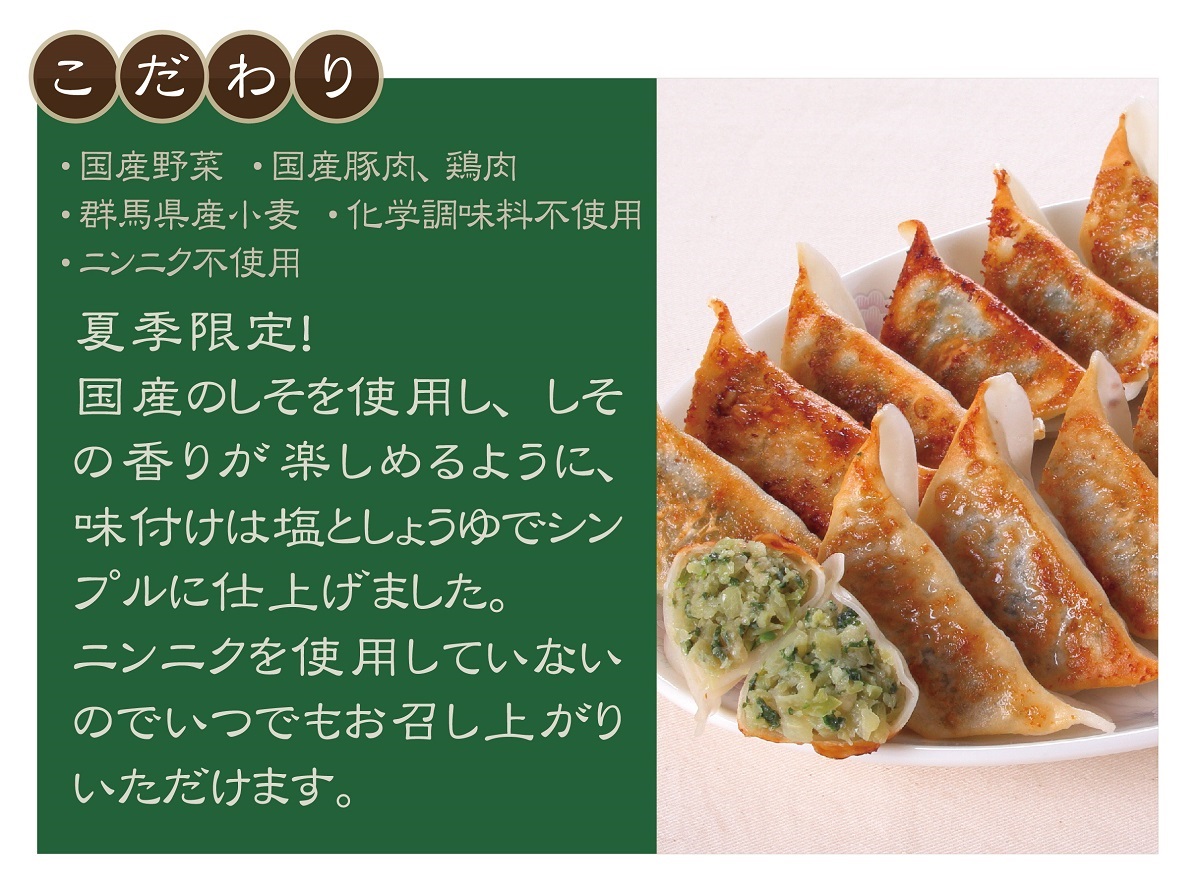 夏季限定 餃子セット