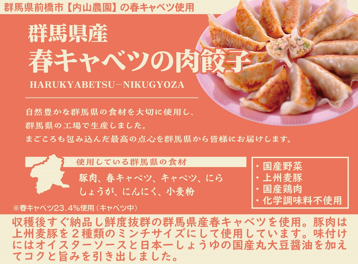  群馬県産春キャベツの餃子セット