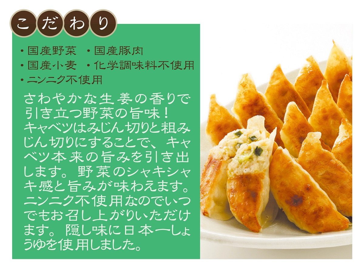 野菜たっぷり生餃子