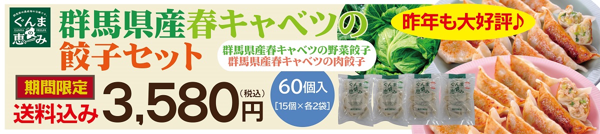  群馬県産春キャベツの餃子セット
