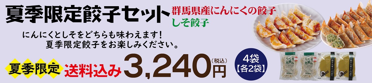 夏季限定 餃子セット