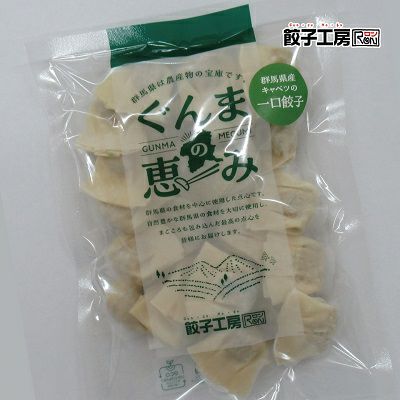 群馬県産キャベツの一口餃子 100個(25個×4袋) 冷凍餃子 餃子 冷凍 冷凍