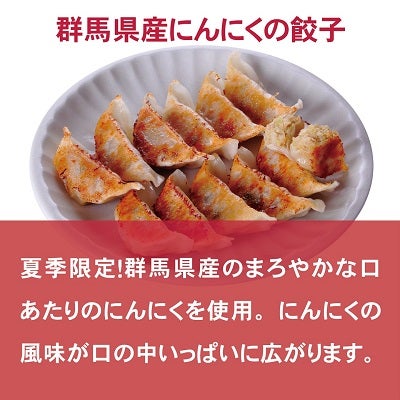 期間限定】 夏季限定餃子セット／ 冷凍餃子 餃子 冷凍 冷凍食品 餃子